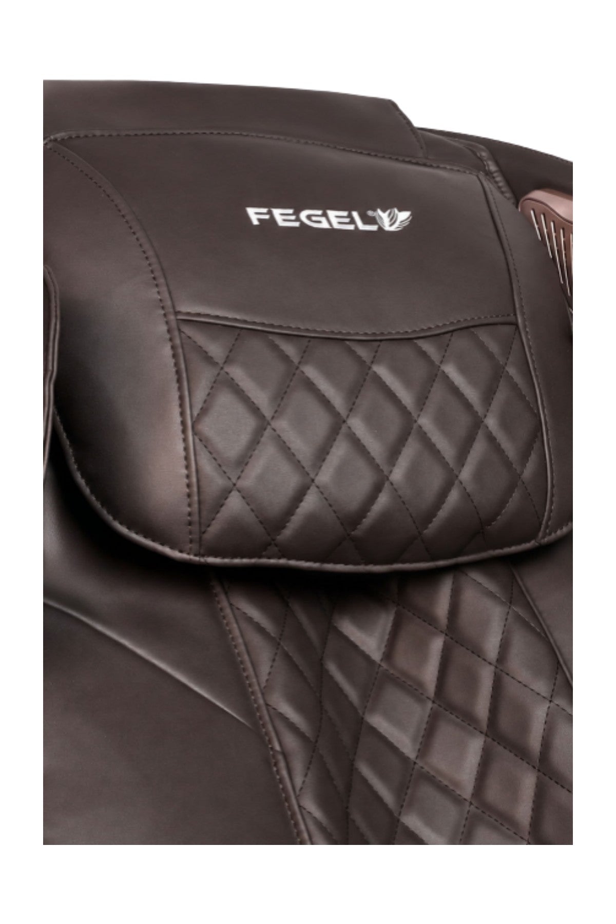 Professional Massage Chair / FG-300