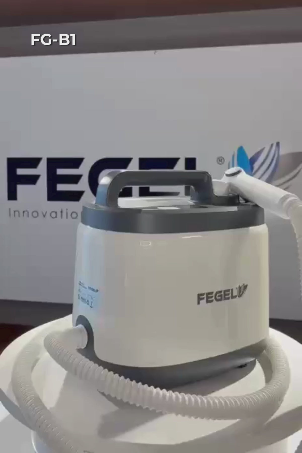 Buharlı Temizleyici - Çok Amaçlı, Ev Tipi, Güçlü ve Yüksek Buhar Teknolojisi / FG-B1