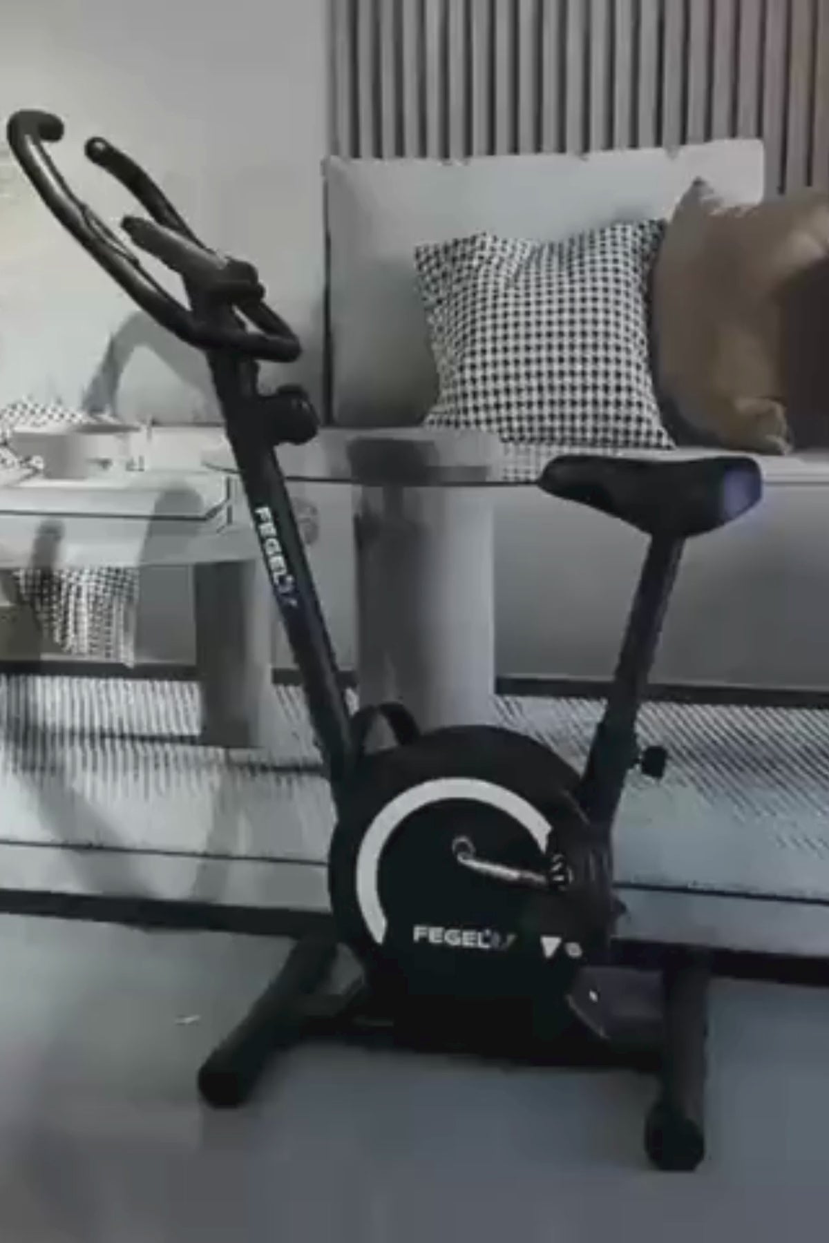 Kondisyon Bisikleti | Ev Tipi Spor Bisikleti, LCD Ekran, Nabız Ölçer, Direnç Ayarlı / FG-100